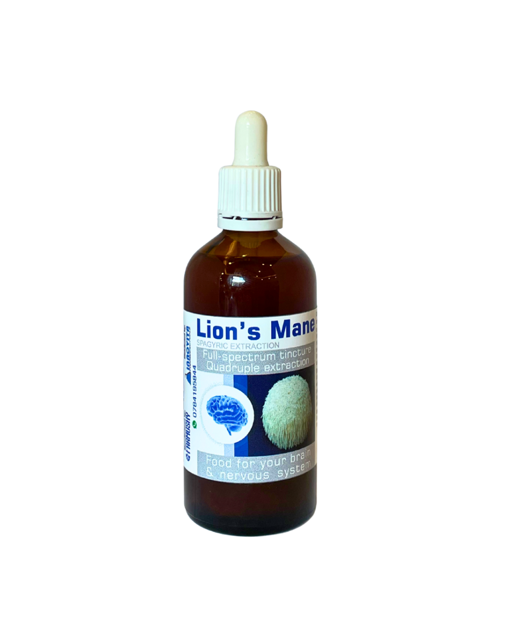 Lion's Mane Tincture
