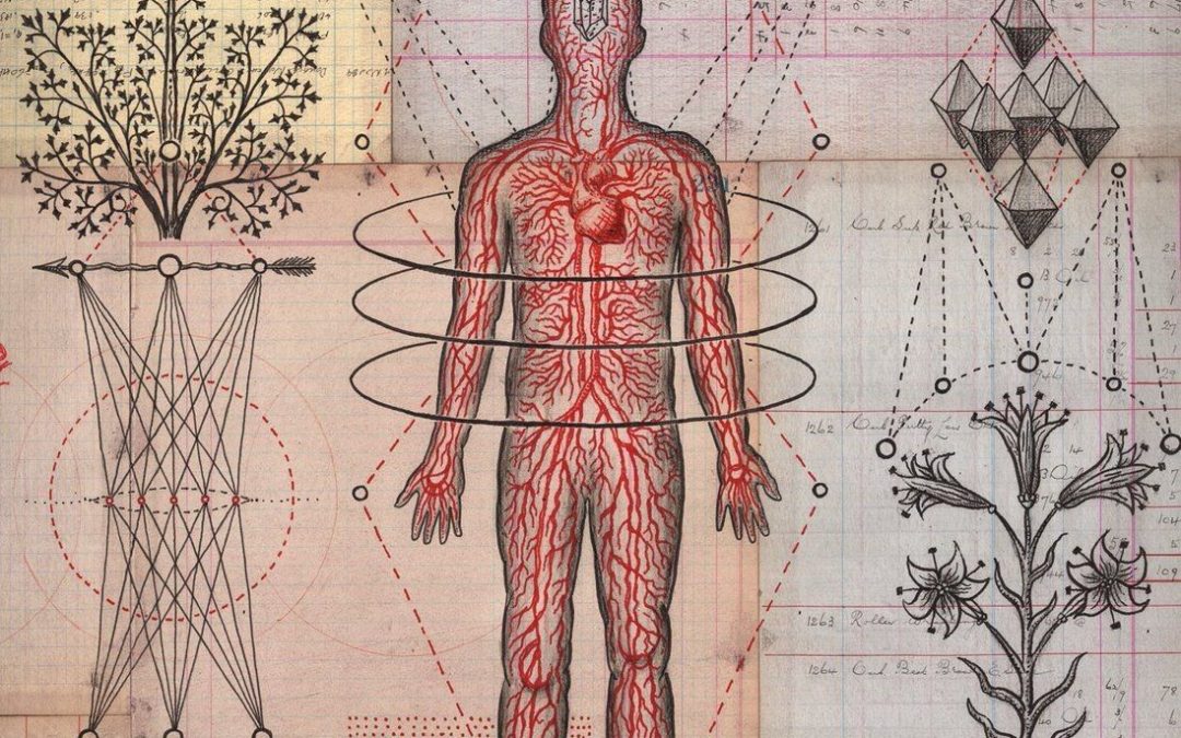The Nervous System & Spirituality – Blog