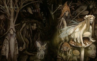Fae And The Faerie Realm