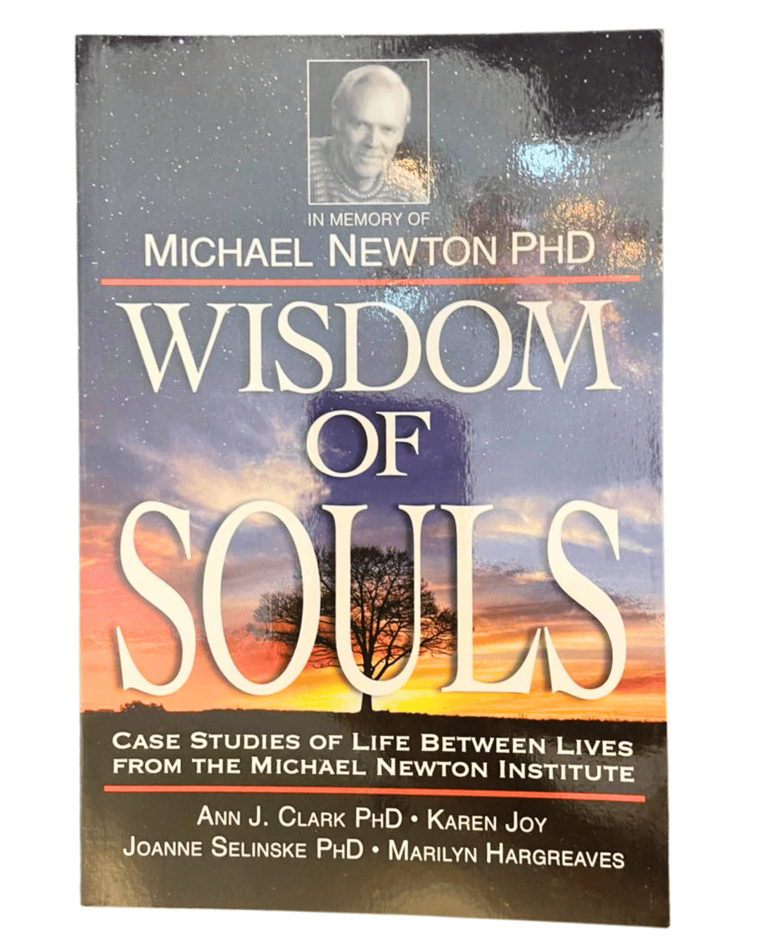 Wisdom of Souls by Michael Newton.