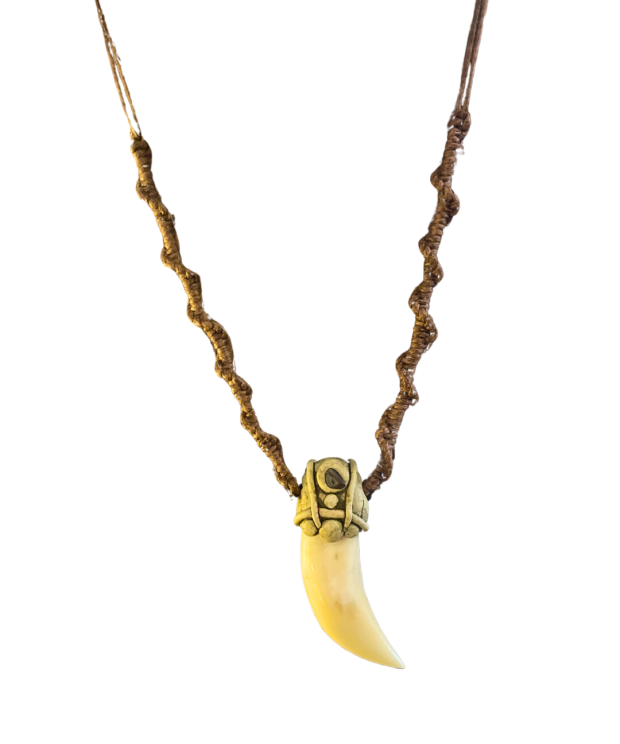 Lions tooth necklace